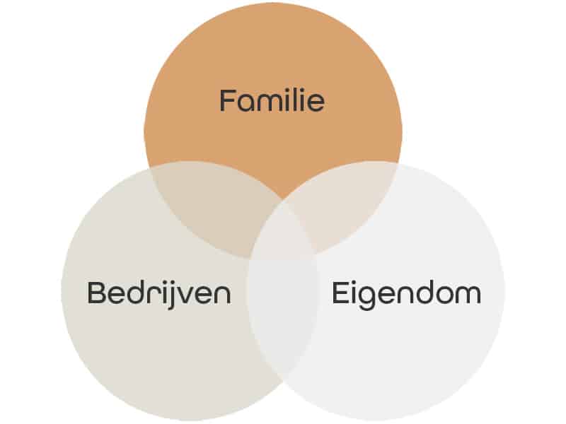 Marjon Bosma | Mediation in familiebedrijven